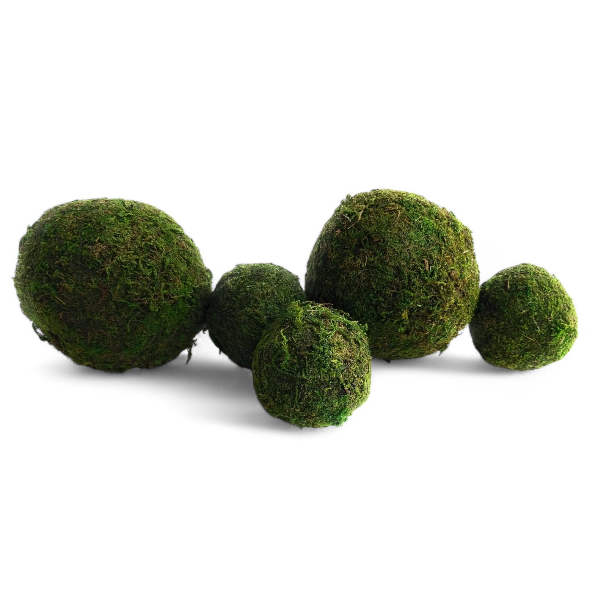 3 Inch + 5 Inch Moss Balls Multiple Sets Dough Bowl Fillers - Ranch Junkie Mercantile LLC 