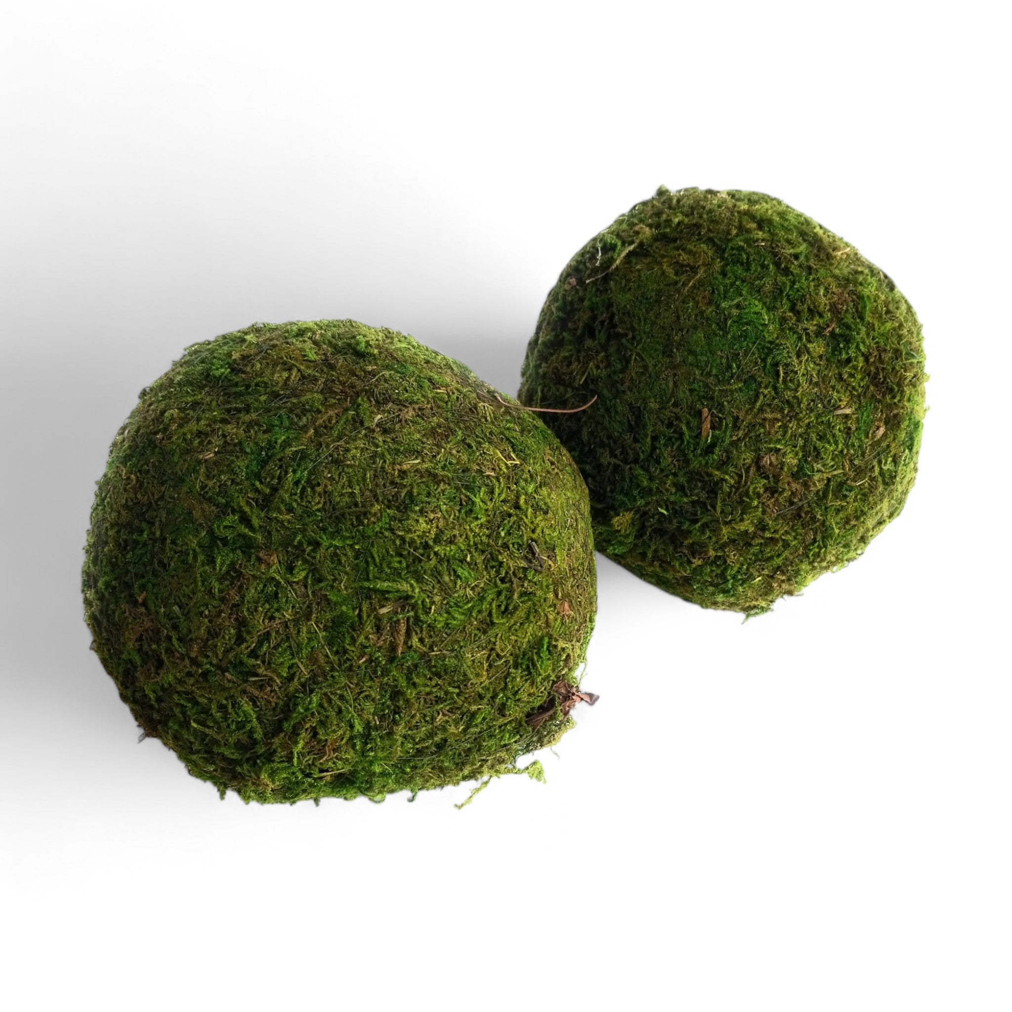 3 Inch + 5 Inch Moss Balls Multiple Sets Dough Bowl Fillers - Ranch Junkie Mercantile LLC 