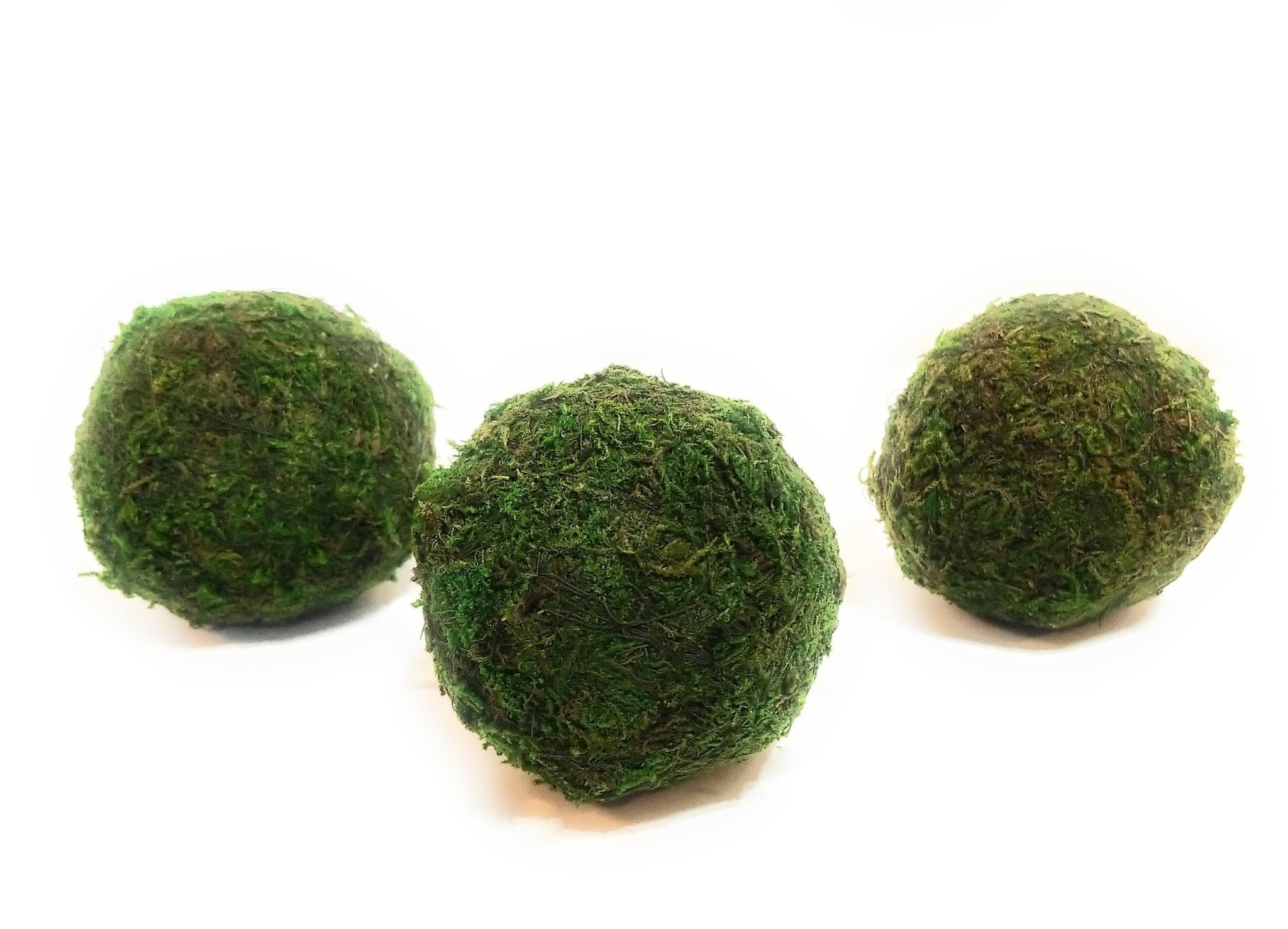 3 Inch + 5 Inch Moss Balls Multiple Sets Dough Bowl Fillers | Ranch ...